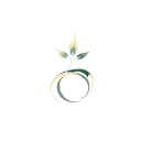 seedance