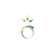 seedance
