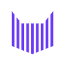 zebracat